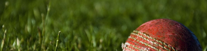 体育资讯配图 - 篮球运动员接受采访